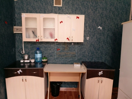 КСТ-16,6кв.м., 2/9